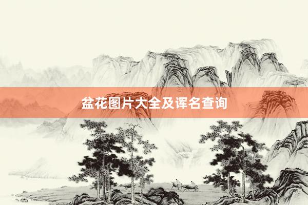 盆花图片大全及诨名查询